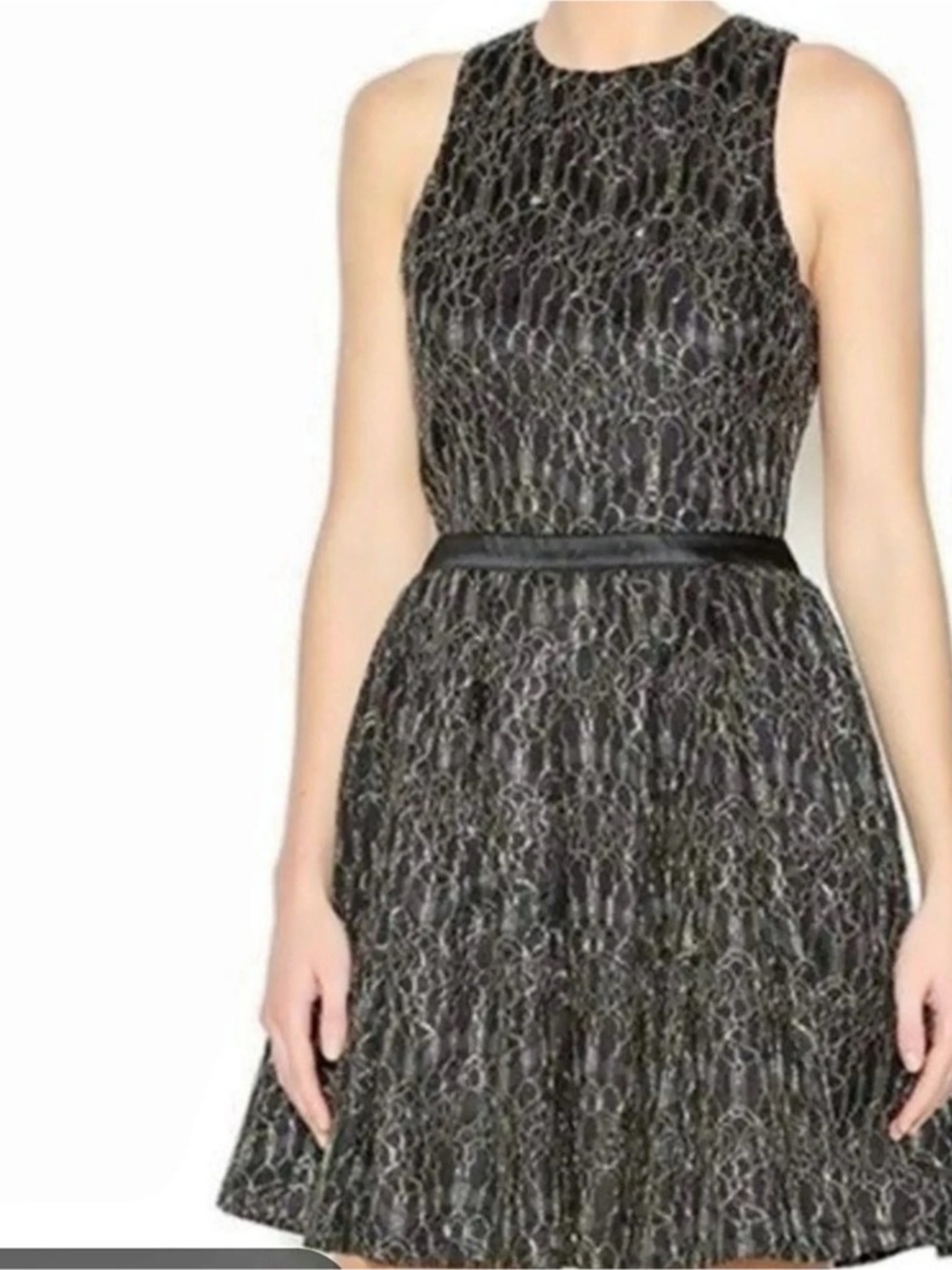 Lauren Ralph Lauren Sleeveless Collared Lace Fit And Flare Dress